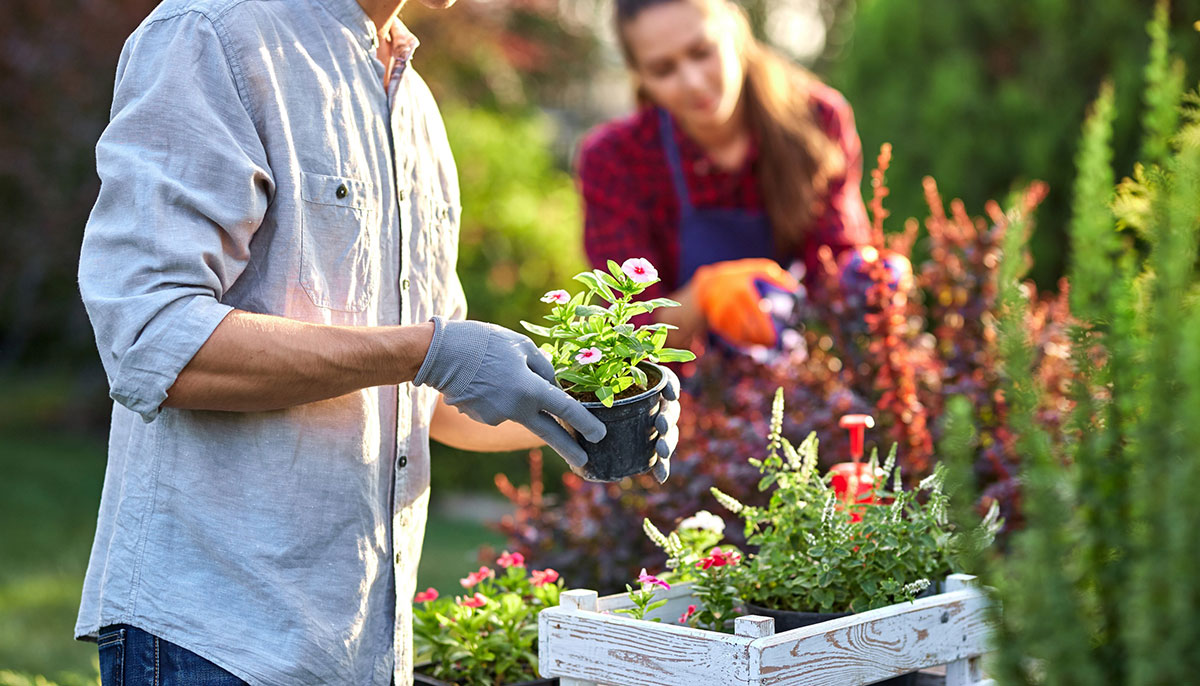 “Rooted in Growth: Expanding the BridgePoint Agri-Consult Family”