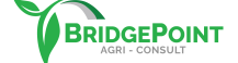 Bridgepoint-02