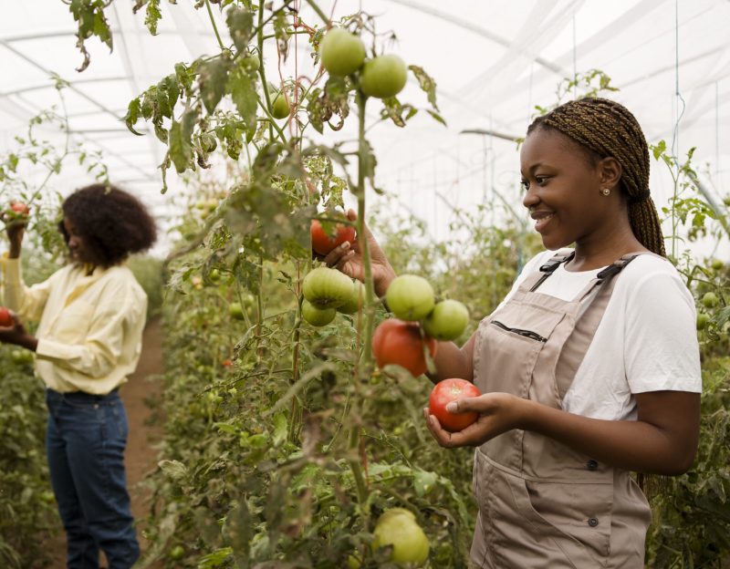 side-view-women-taking-care-plants-scaled